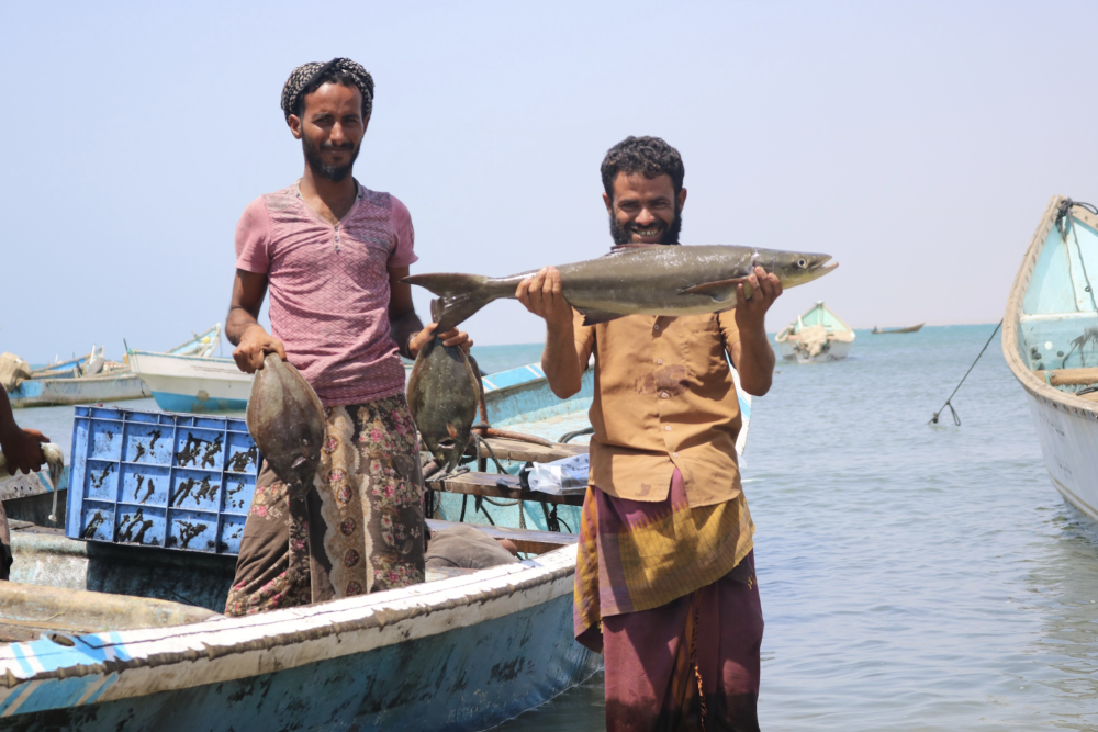 UNDP-Led Fisheries Project Trains 3,000 Yemeni Fishermen to Boost Sustainability and Coastal Livelihoods