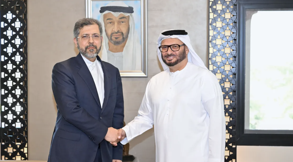Anwar Gargash Meets Iranian Deputy Foreign Minister