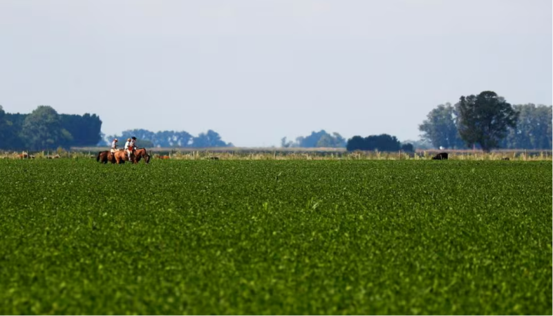 COP28: US-UAE climate-friendly farming effort grows to $17 bln
