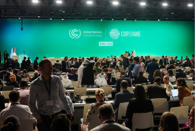 Egypt welcomes COP28 results, praises UAE successful hosting