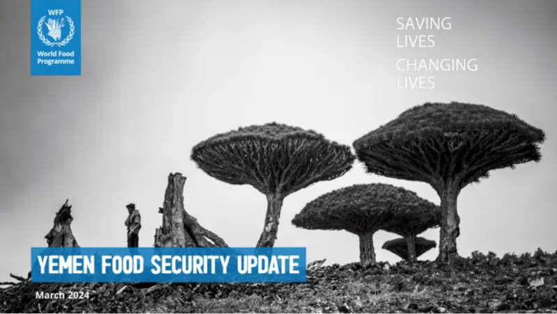 WFP Yemen Food Security Update