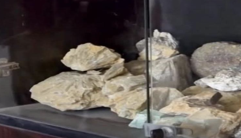 White Gold Discovered in Yemen : Geological Authority Announces Major Find in Hadramout