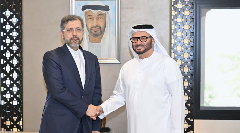 Anwar Gargash Meets Iranian Deputy Foreign Minister