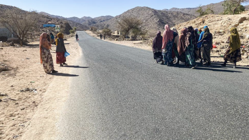 IOM Data Shows Sharp Decline in Internal Displacement in Yemen Last Week