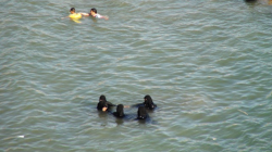 At Least 12 Women Dead in Mass Drowning Incidents Across Yemen Since September