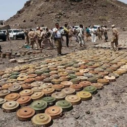 Yemen : Masam Project Clears Over 1,000 Explosive Devices in First Week of November