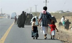 IOM Reports Over 24,000 Displaced in Yemen Since January 2025 Amid Escalating Conflict