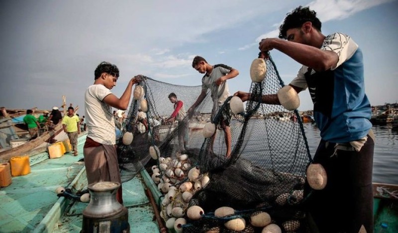 54 Yemeni fishermen freed from Eritrean prison center return home