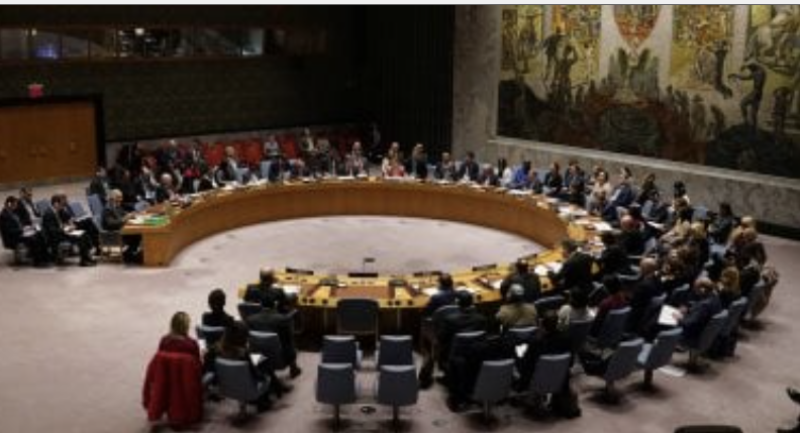 UNSC Condemns Houthi Detention of UN Staff in Yemen, Demands Immediate Release