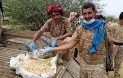 Houthi-Linked Network Busted While Attempting to Establish Drug Factory in Yemen’s Al-Mahra Province