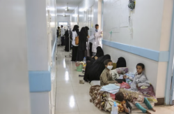 Yemen Records Over 81,000 Suspected Cholera Cases in Nine Months, Ranks Second Globally