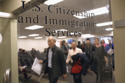 Trump administration pauses immigration applications from nationals of 19 countries